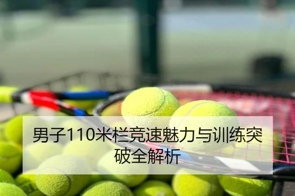 男子110米栏竞速魅力与训练突破全解析